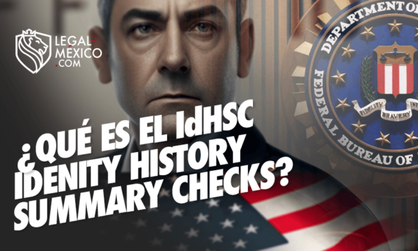 ¿Qué es el Identity History Summary Checks?