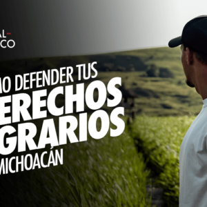 Cómo defender tus derechos agrarios en Michoacán