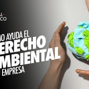 Como el Derecho Ambiental puede Ayudar a tu Empresa