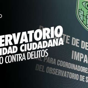Observatorio de Seguridad Ciudadana