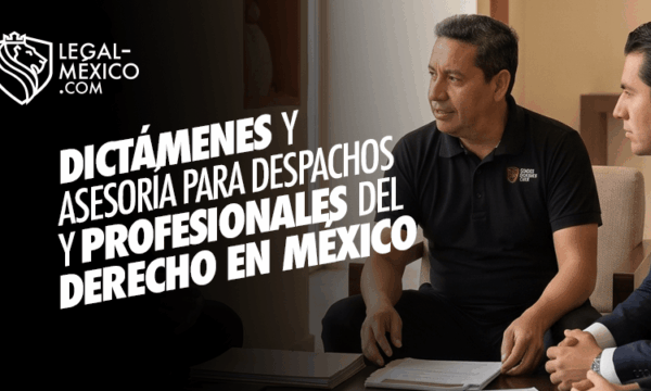 Dictámenes y asesoría para despachos y profesionales del Derecho